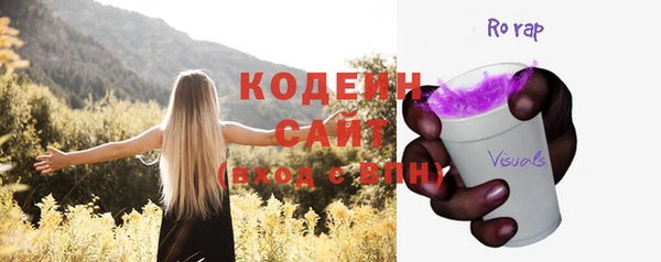 хмурый Вяземский
