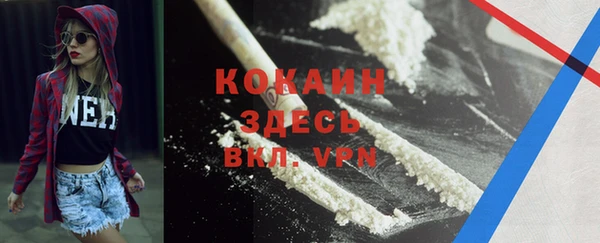 PSILOCYBIN Вязники