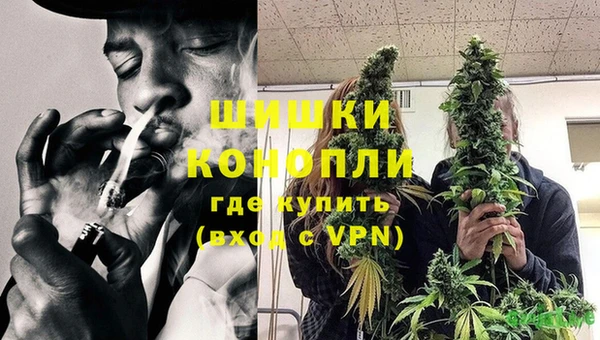 хмурый Вяземский