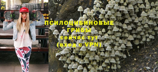 PSILOCYBIN Вязники