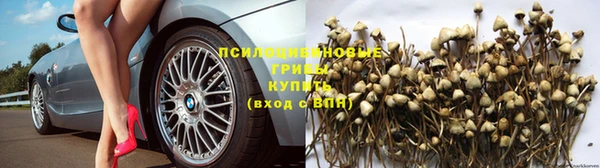 ECSTASY Вязьма