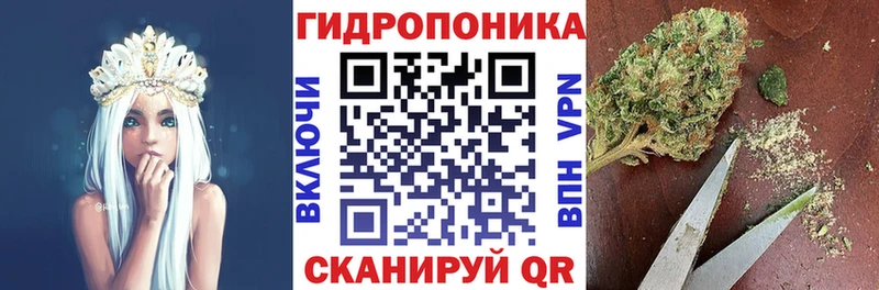Бошки Шишки Amnesia  Инсар 